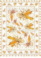 Бумага, Calambour EASY 160, 50х70см, кукуруза