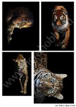 Wild 3, декупажная карта от Base of art, плотность 30гр/м2, формат А4