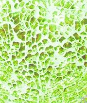 Мозаика Glorex-Crackle mosaic, лист 15x20 см, цвет 07 светло-зеленый ― Интернет магазин FieraHobby
