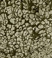 Мозаика Glorex-Crackle mosaic, лист 15x20 см, цвет 14 прозр серый ― Интернет магазин FieraHobby